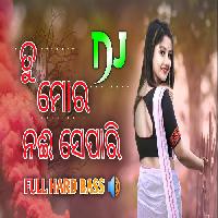 Tu Mora Nai Separi- Full Dance Mix Dj Song-Dj Rajesh